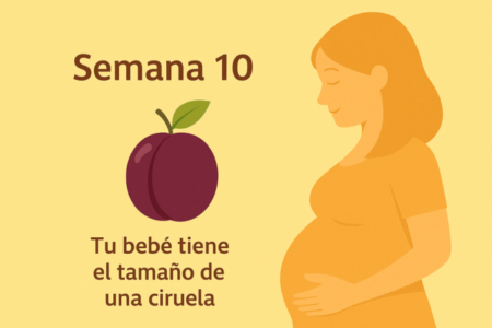 semana 10 embarazo