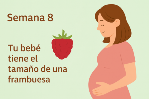 semana 8 embarazo