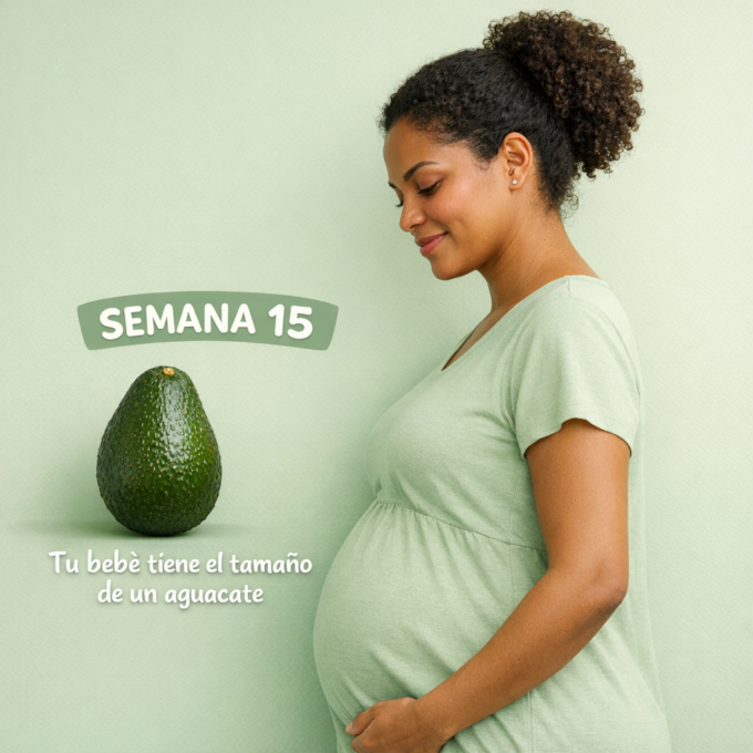 semana 15 de embarazo